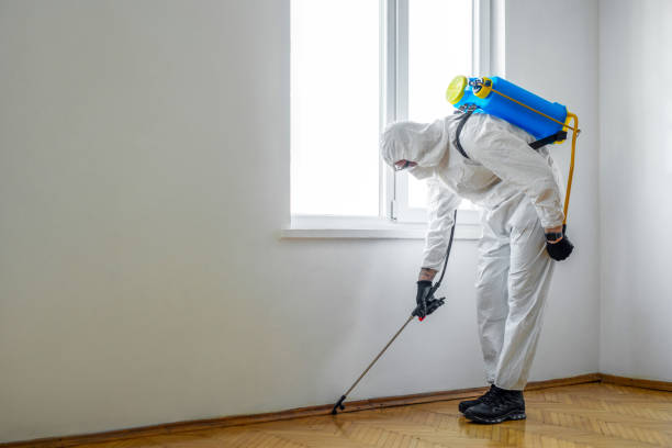 Best Emergency Pest Control  in Martinsburg, PA